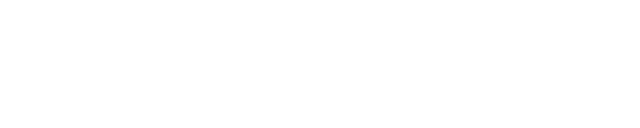 Nexostone Logo